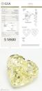0.70ct FIY SI1 GIA5373017126
