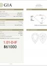 1.01 D IF GIA6381652931