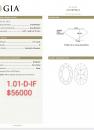 1.01 D IF GIA6167075647