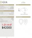 1.01 H IF GIA2213730568