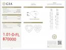1.01 D FL GIA1383670366