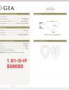 1.01 D IF GIA1353218660